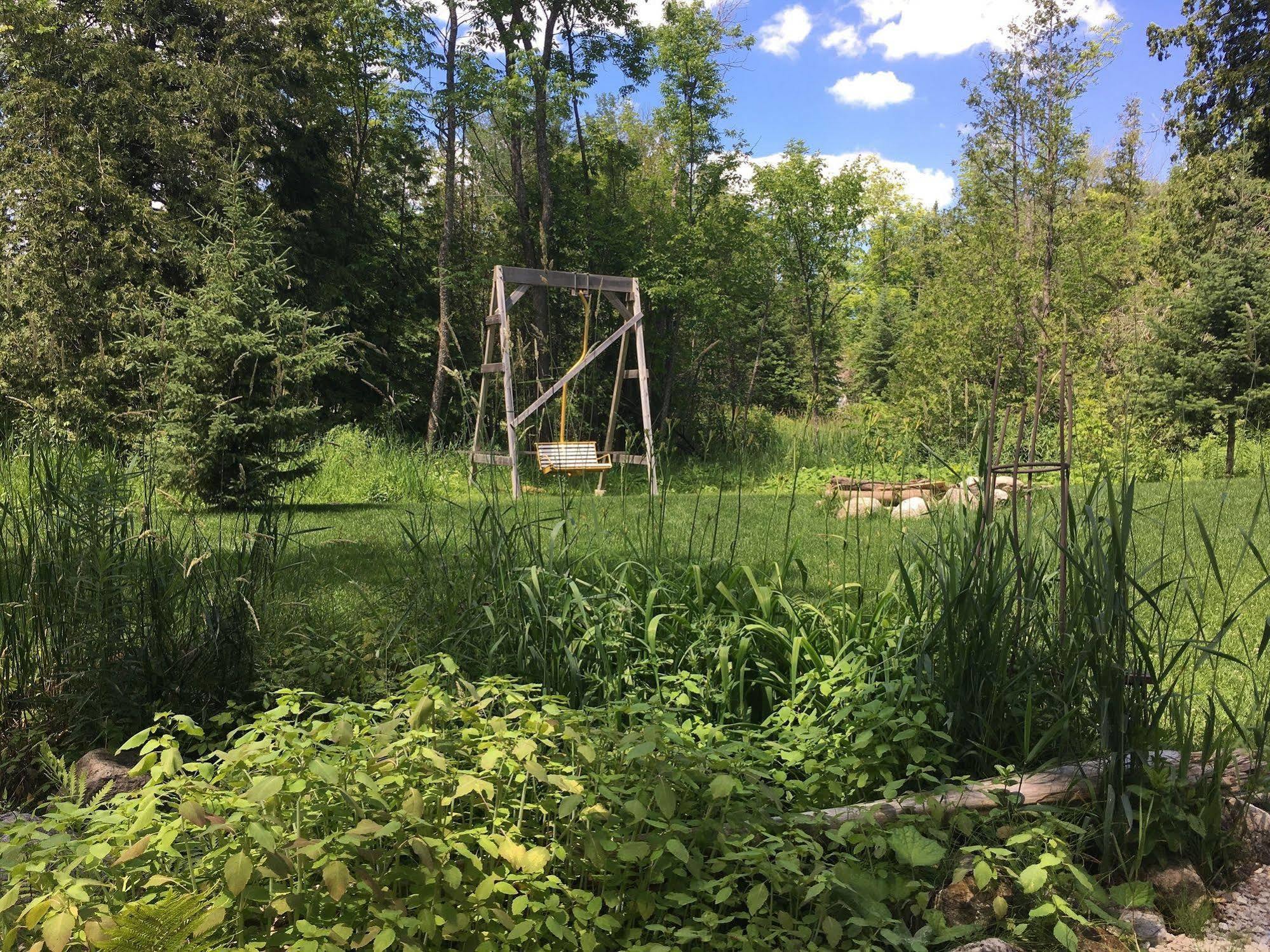 The Treehouse Bed And Breakfast Flesherton Exterior foto